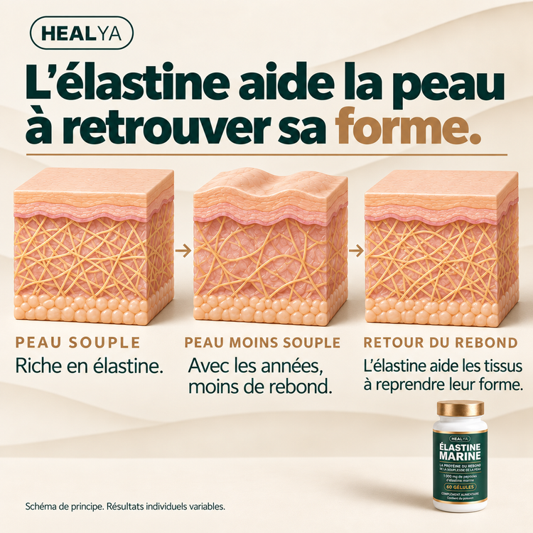 Élastine Marine Healya  1 000 mg — 60 gélules